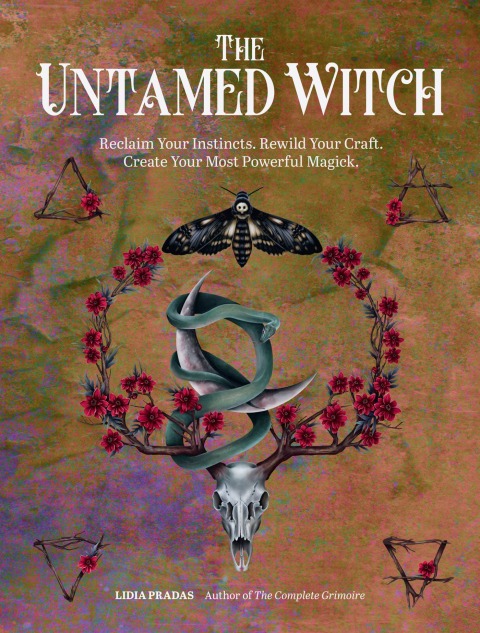 Cover image for book The Untamed Witch