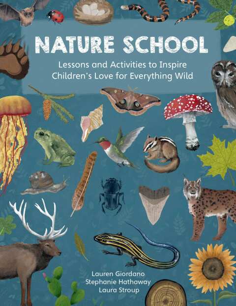 Cover image for book Nature School