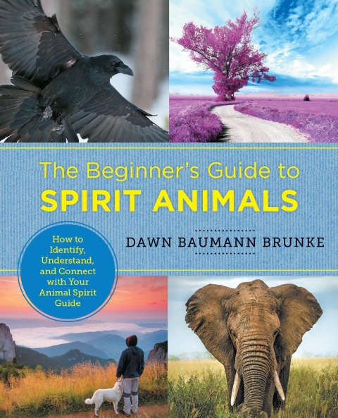 Cover image for book The Beginner's Guide to Spirit Animals