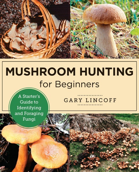 Cover image for book Mushroom Hunting for Beginners