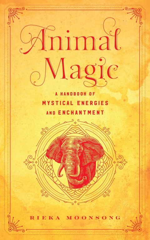 Cover image for book Animal Magic
