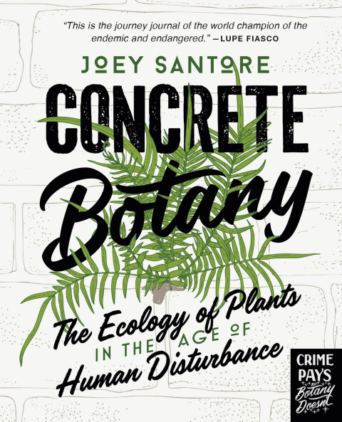 Cover image for book Concrete Botany