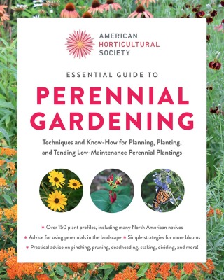 Essential Guide to Perennial Gardening