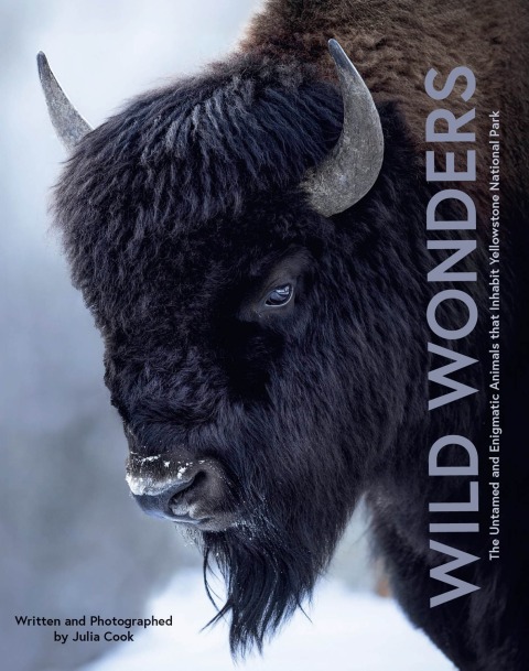 Cover image for book Wild Wonders