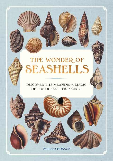 Cover image for book The Wonder of Seashells