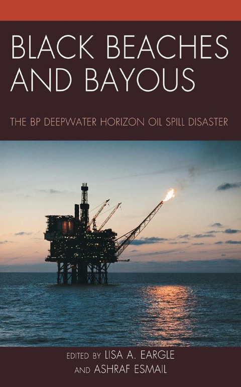 Cover image for book Black Beaches and Bayous