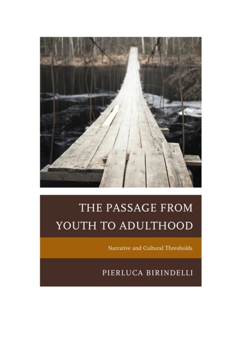 Cover image for book The Passage from Youth to Adulthood