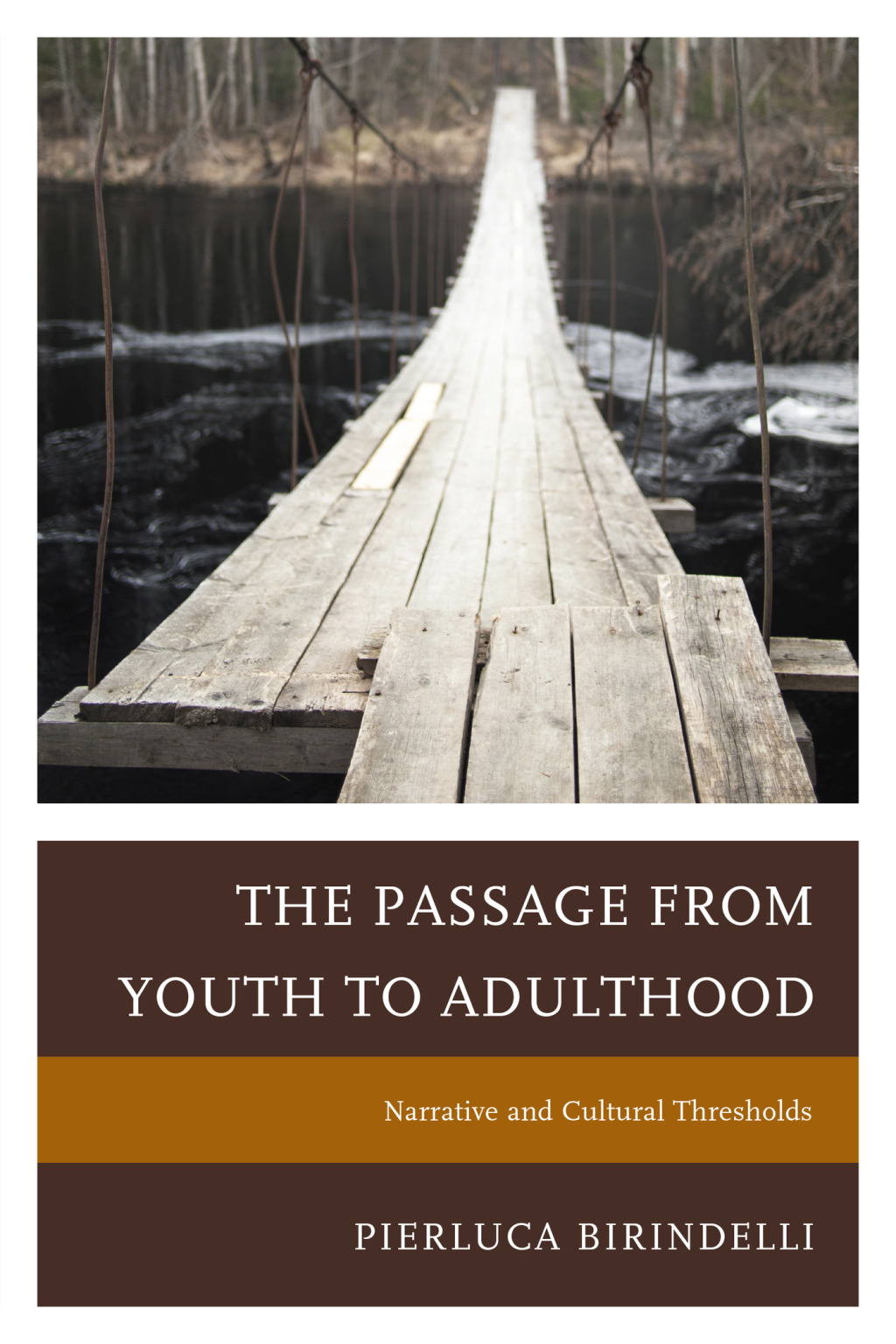 Reflowable The Passage from Youth to Adulthood; $30.49