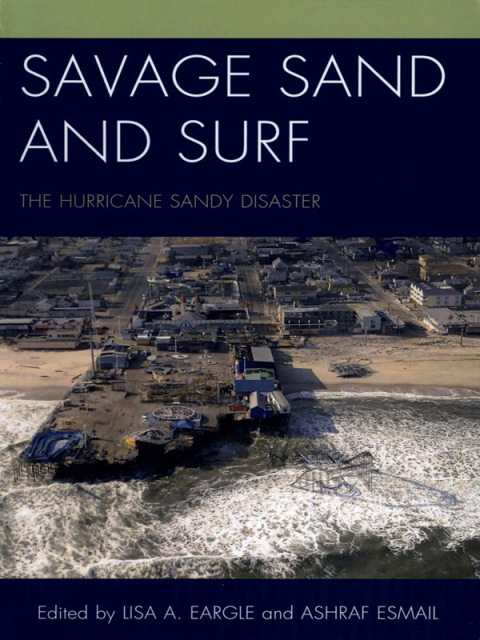 Cover image for book Savage Sand and Surf