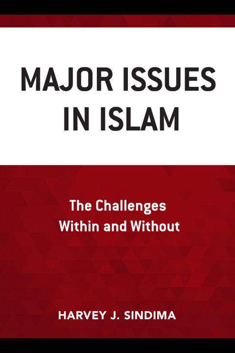 Cover image for book Major Issues in Islam