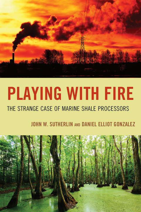 Cover image for book Playing with Fire