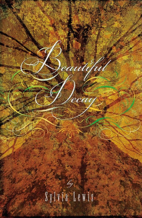 Cover image for book Beautiful Decay