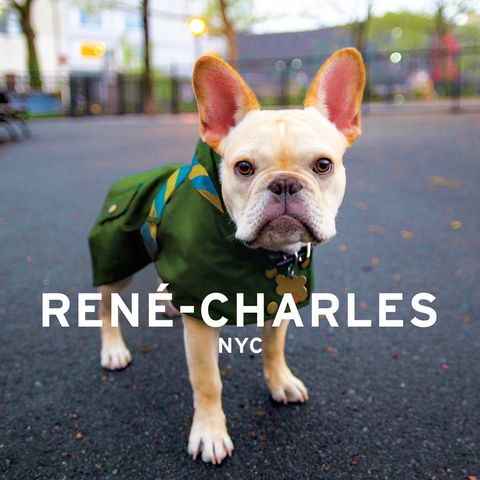 Cover image for book Rene-Charles: NYC