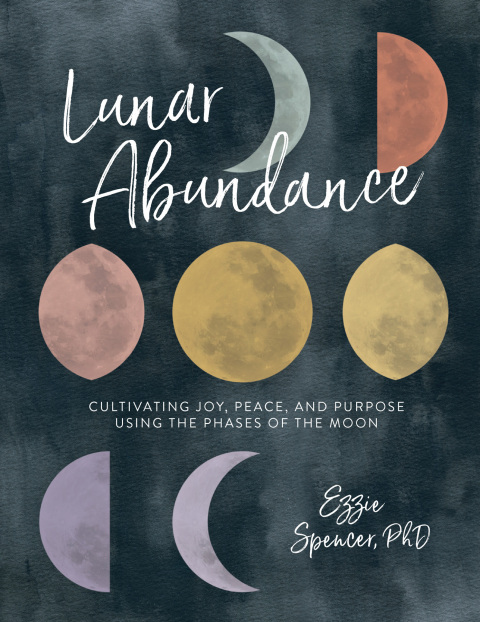 Cover image for book Lunar Abundance