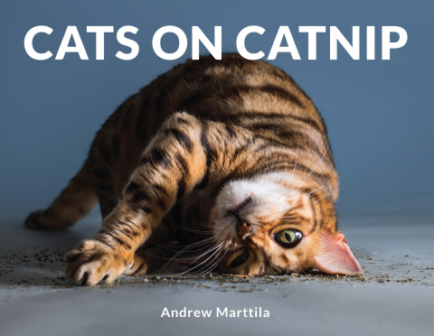 Cover image for book Cats on Catnip