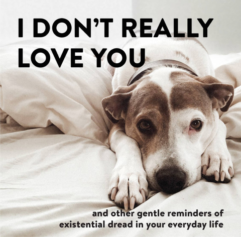 Cover image for book I Don't Really Love You