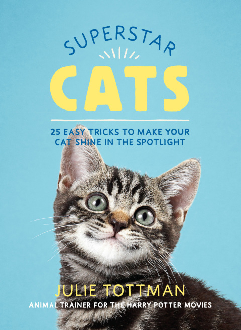 Cover image for book Superstar Cats