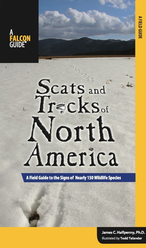Cover image for book Scats and Tracks of North America