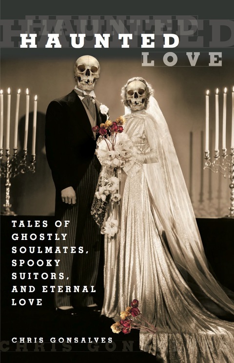 Cover image for book Haunted Love