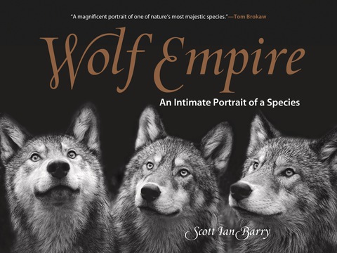 Cover image for book Wolf Empire