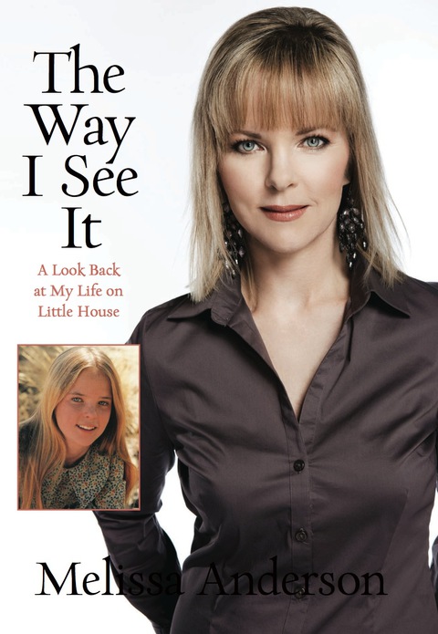 Cover image for book Way I See It