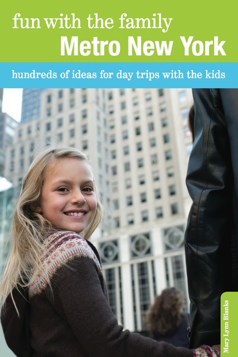 Cover image for book Fun with the Family Metro New York