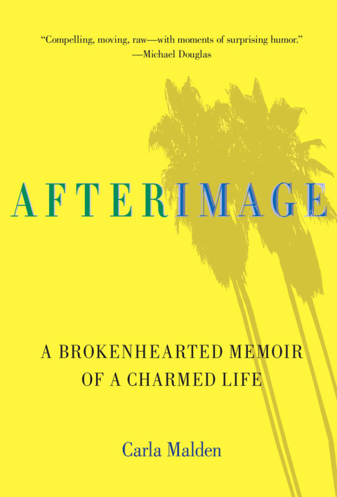 Cover image for book AfterImage