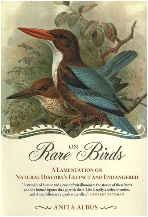 Cover image for book On Rare Birds