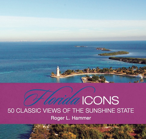 Cover image for book Florida Icons