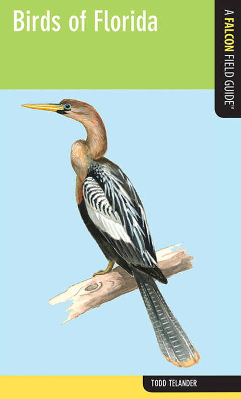 Cover image for book Birds of Florida
