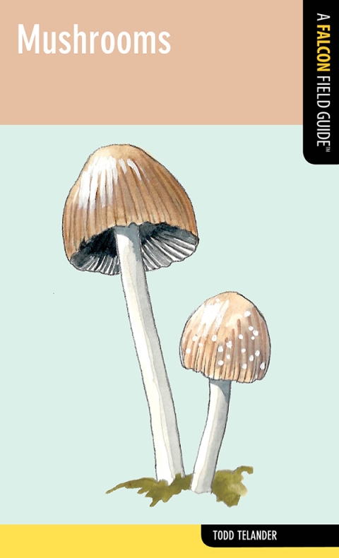 Cover image for book Mushrooms