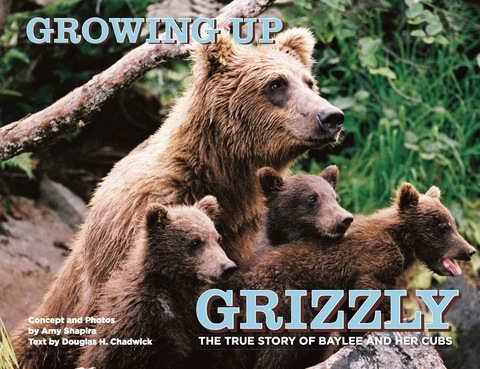 Cover image for book Growing Up Grizzly