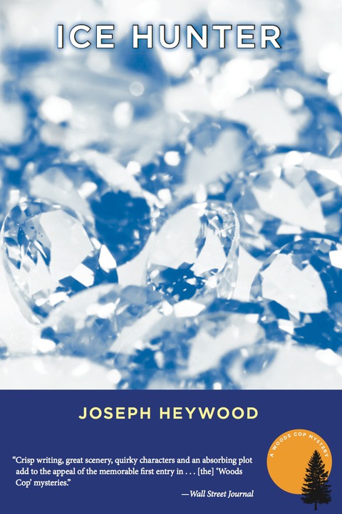 Cover image for book Ice Hunter