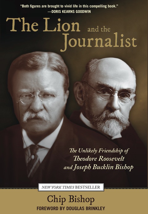 Cover image for book Lion and the Journalist
