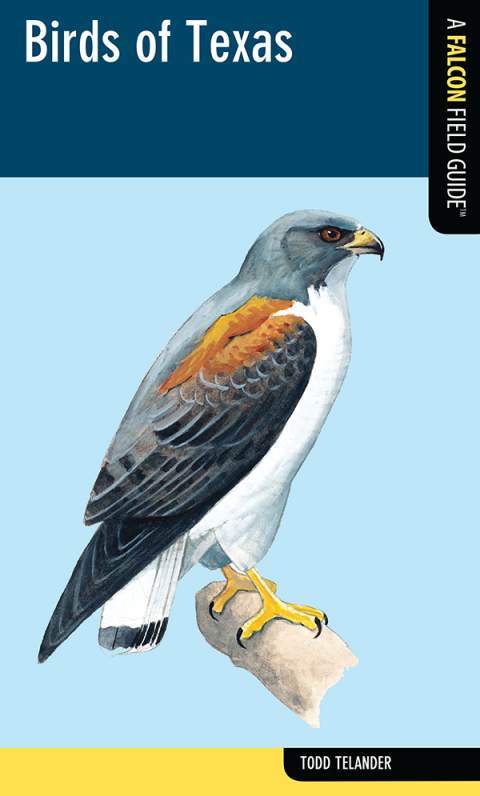 Cover image for book Birds of Texas