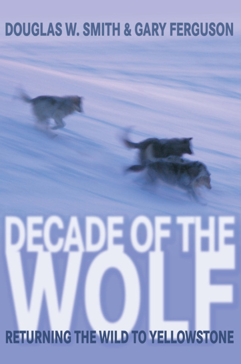 Cover image for book Decade of the Wolf