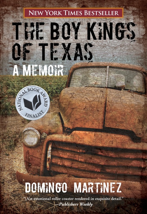 Cover image for book Boy Kings of Texas