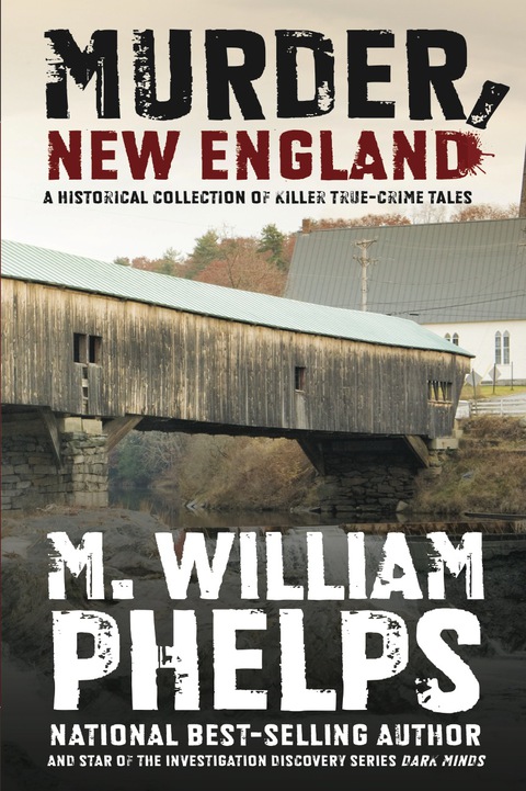 Cover image for book Murder, New England