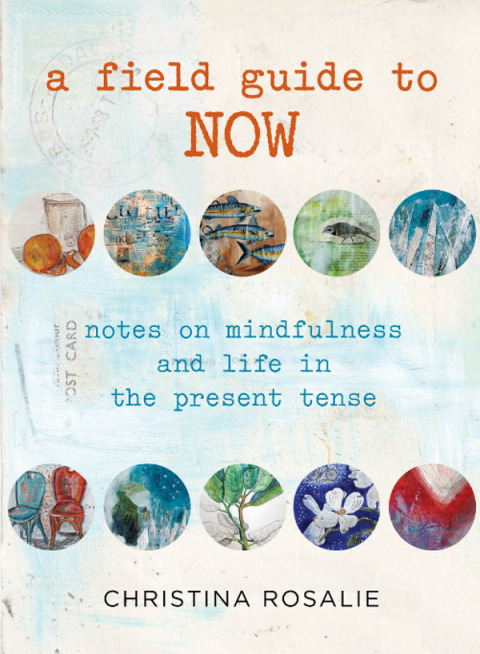 Cover image for book Field Guide to Now