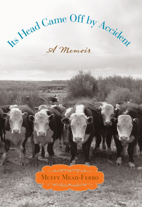 Cover image for book Its Head Came Off by Accident