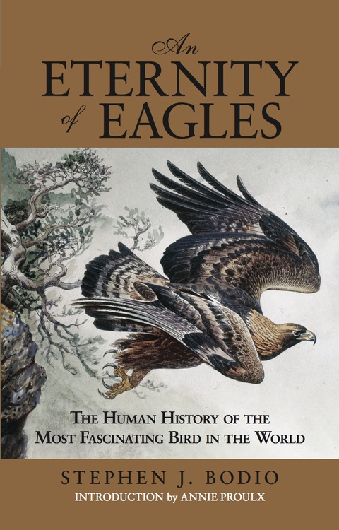 Cover image for book Eternity of Eagles