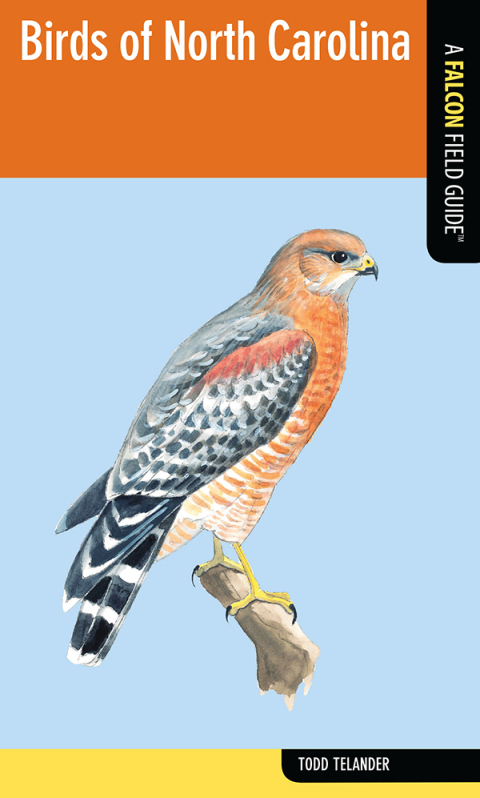 Cover image for book Birds of North Carolina