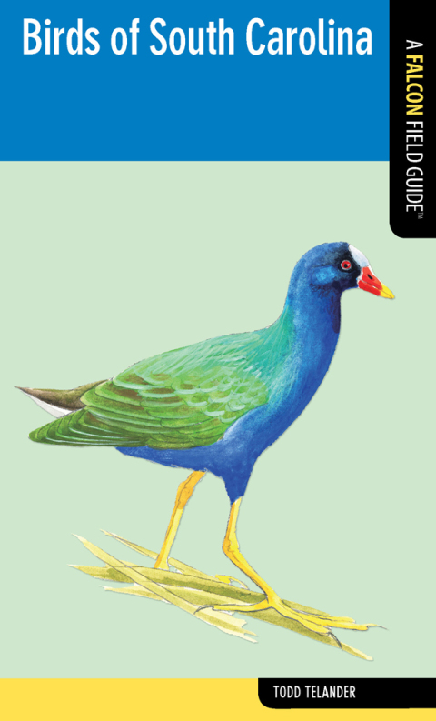 Cover image for book Birds of South Carolina