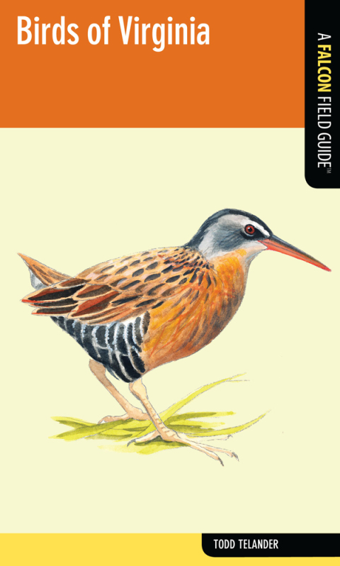 Cover image for book Birds of Virginia