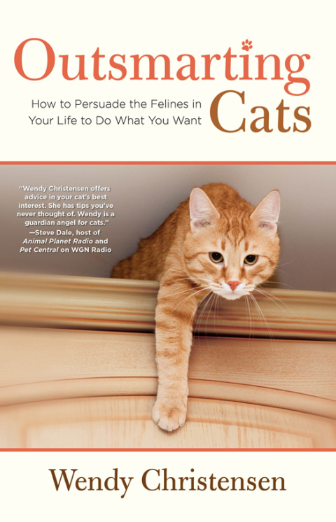 Cover image for book Outsmarting Cats