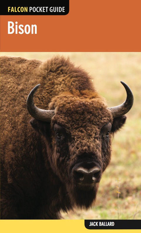 Cover image for book Bison