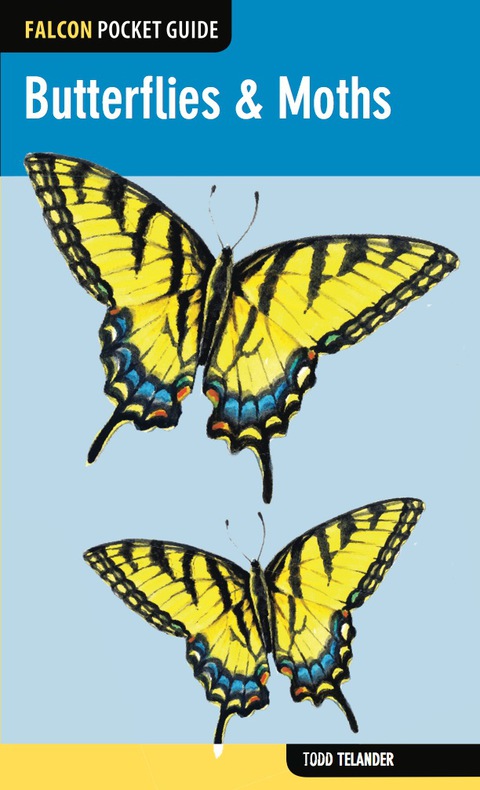 Cover image for book Butterflies & Moths