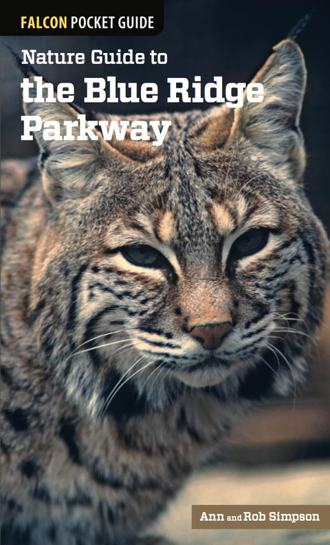 Cover image for book Nature Guide to the Blue Ridge Parkway
