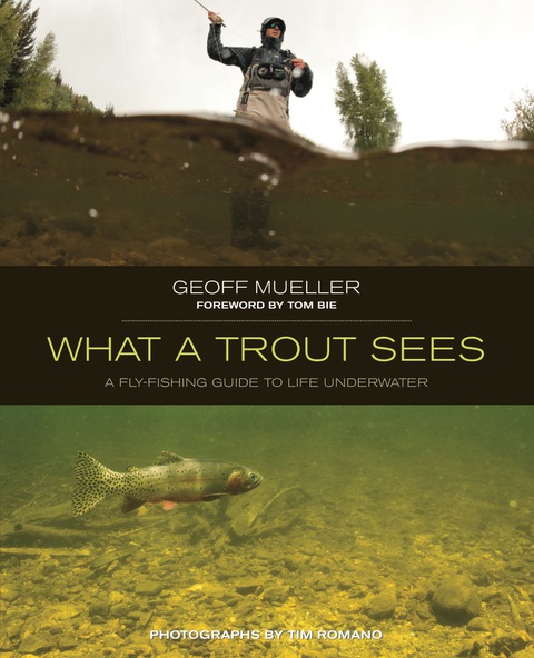 Cover image for book What a Trout Sees