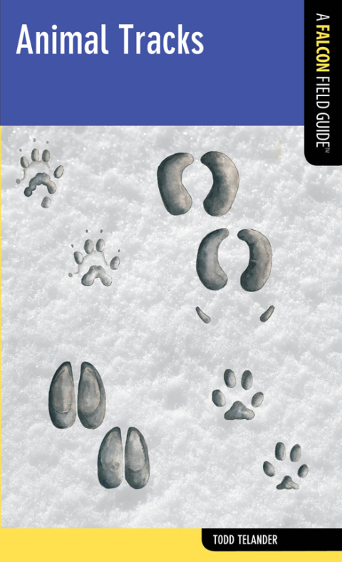 Cover image for book Animal Tracks